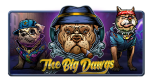 The Big Dawgs x