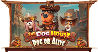 The Dog House Dog Or Alive x